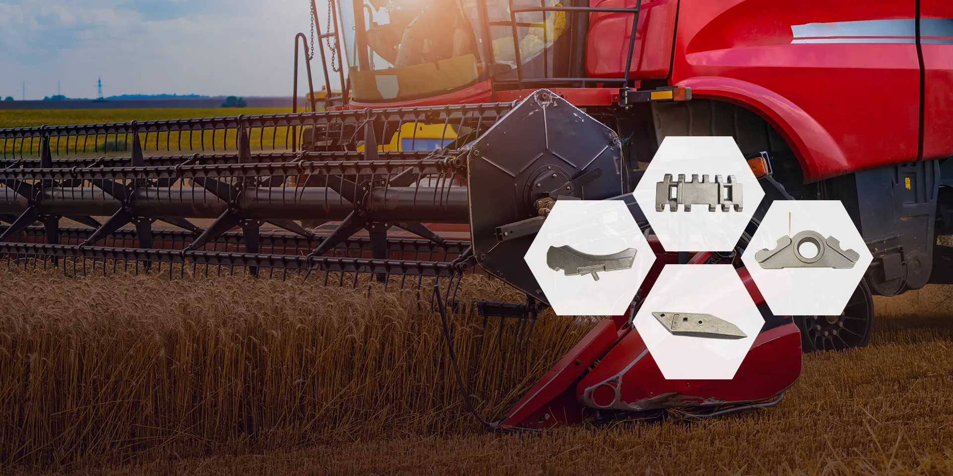 Shandong Sennai Technology Co., Ltd.-Intermedio-Grafito
